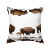 Bison  Roaming the Snow | Large