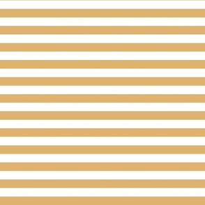 Bigger Scale 1/2 Inch Stripe Honey and White Coordinate Matches Spoonflower Petal Solid
