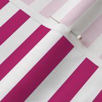 Bigger Scale 1/2 Inch Stripe Bubble Gum and White Coordinate Matches Spoonflower Petal Solid