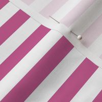 Bigger Scale 1/2 Inch Stripe Peony and White Coordinate Matches Spoonflower Petal Solid