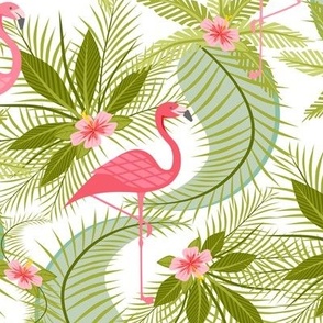 Flamingo Paradiso on White