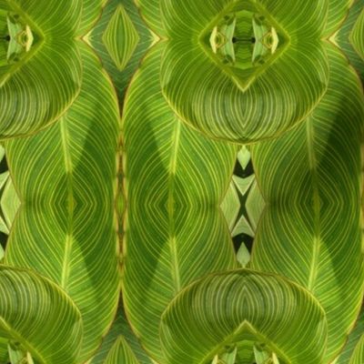 Green Striped Leaves