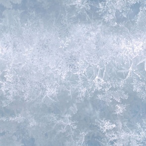 Ice Crystals Winter Jewel