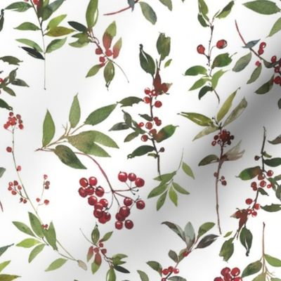  18" Colorful wild red berries meadow,watercolor wildgrasses on white