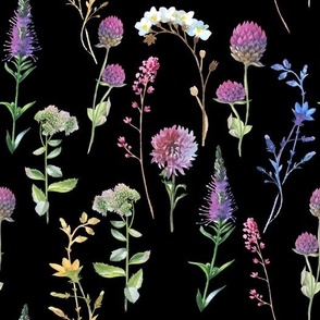 10"  Hand drawn Watercolor wildflowers Flower Herbs Meadow on black