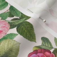 Redouté Roses Garden Flowers - Redouté fabric - Roses fabric - Vintage Rose fabric  blush