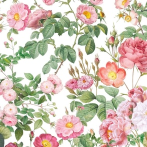Nostalgic Pink Pierre-Joseph Redouté Roses And Dogroses, Antique Flower Bouquets,  vintage home decor, English Rose Fabric on white