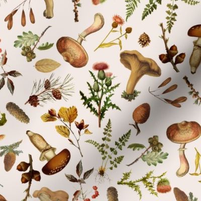 Vintage Botanical Mushroom Fabric, Wild Forest Fabric, Psychadelic  Mushroom Wallpaper woodland fabric on blush beige pink