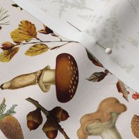 Vintage Botanical Mushroom Fabric, Wild Forest Fabric, Psychadelic  Mushroom Wallpaper woodland fabric on blush beige pink