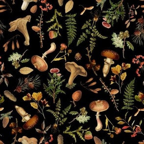Vintage Botanical Mushroom Fabric, vintage home decor, antique wallpaper , Wild Forest Fabric, woodland fabric on black