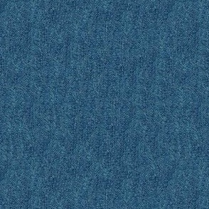 Jeans Type C steel blue 