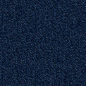 Jeans Type D sapphire