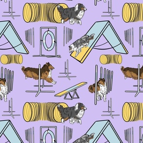 Simple Rough Collie agility dogs - purple
