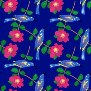Sweet illustrations of stylised blue + yellow birds, modelled on Australian Honeyeaters. Perched amidst branches of lipstick cerise pink camellia blooms. 
