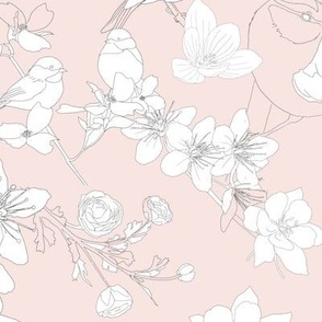 Light Pink | Florals & Birds