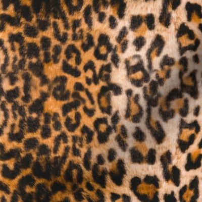 Cheetah Leopard Fur Pattern 