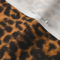 Cheetah Leopard Fur Pattern 