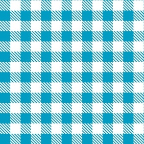 Bigger Scale 1" Caribbean and White Buffalo Plaid Checker Gingham Spoonflower Petal Solids Coordinate Bright Turquoise Blue