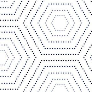 Dotted Hexagons blue and white large