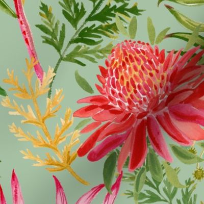 Painted Protea sage