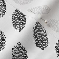spruce cones in rows - black and white