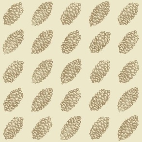 spruce cones in rows - cream and brown