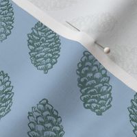 spruce cones in rows - pine on light blue