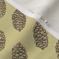 spruce cones in rows - brown on golden tan