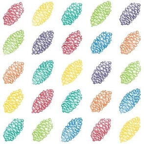 spruce cones in rows - crayon rainbow on white