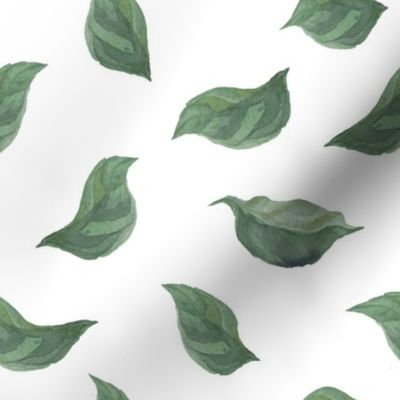 Green  leaf