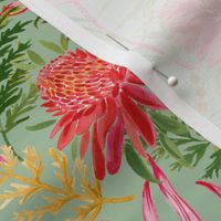 Painted Protea sage small