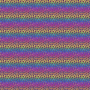 90s rainbow leopard sm
