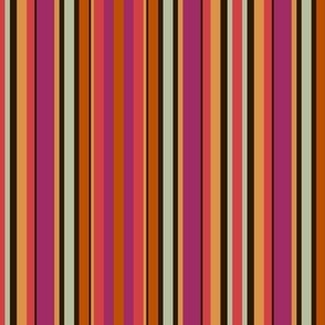 Hot Pink and Orange Hippie Mod Vertical Stripe