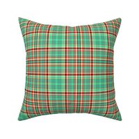 Sea mist Green and Red Plaid