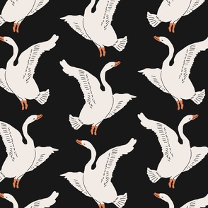 Dancing Swans | JUMBO Black