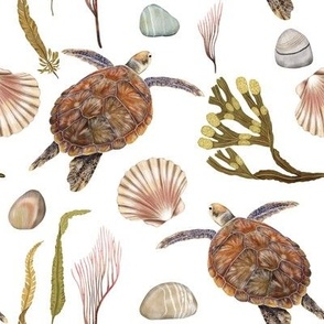 Coastal Harmony | Nautical decor | turtles, clams & seaweed