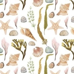 Coastal Harmony | Nautical decor | seashells, starfish, conch & seaweed