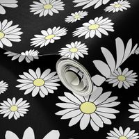 Daisy Chain in Black as Night