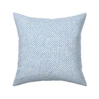 Burlap Linen texture Sky Blue light