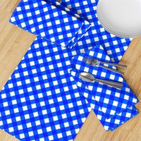 Cobalt Gingham Large Bias