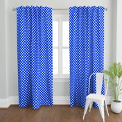 Cobalt Gingham Large Bias