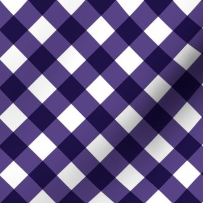 Grape Gingham Large Bias