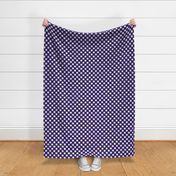 Grape Gingham Large Bias