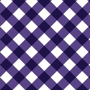 Grape Gingham Large Bias