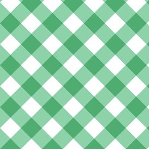 Jade Gingham Large Bias