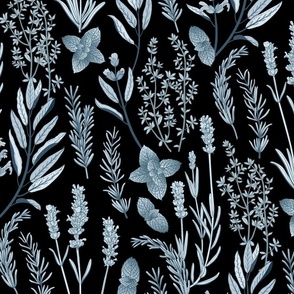 Old World Fragrant Herbs botanical - icy blue  on black - large
