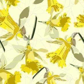 Spring Daffodil on light cream background