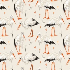 Storks