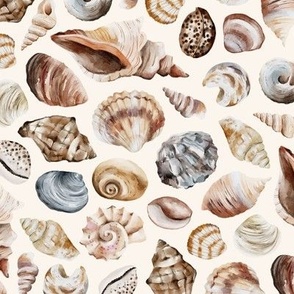 Sea Shell / Ocean Breeze