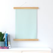 Sea Glass Teal pastel solid